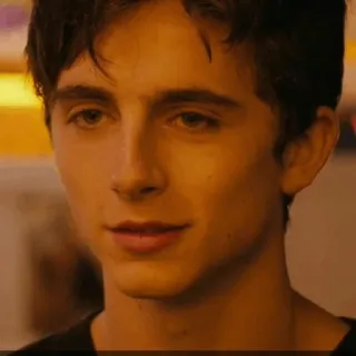 🍃 Timothée Chalamet acteur, célébrité, portrait, Timothée Chalamet telegram sticker