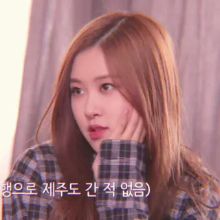 🌹 행으로 제주도 간 적 없음) telegram sticker