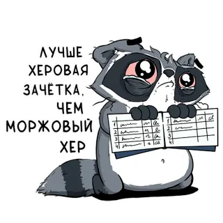 🥹 ЛУЧШЕ ХЕРОВАЯ ЗАЧЁТКА, ЧЕМ МОРЖОВЫЙ ХЕР rakun, pelajar, nilai, rusia, menyinggung, kartun whatsapp sticker
