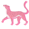 ๐