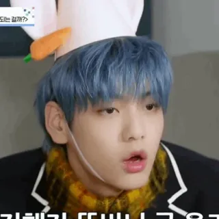 🌸 어떻게 되는 걸까?? 사람, 한국, 토끼, 당근, 스티커 telegram sticker