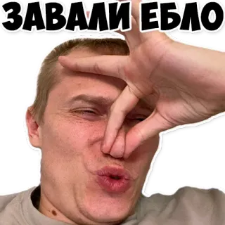 🤫 ЗАВАЛИ ЕБЛО insulte, offensant, visage, russe telegram sticker