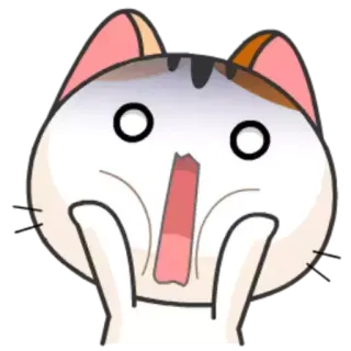 😱 猫, びっくり, ショック, アニメ, 動物 telegram sticker