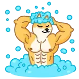 🛁 Doge Doge, Hond, Meme, Spier, Grappig, Cartoon, Gespierd whatsapp sticker