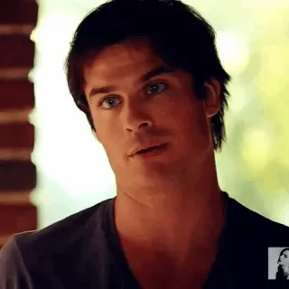 🍷 Damon Salvatore The Vampire Diaries vampiro, serie de TV, drama, sobrenatural telegram sticker