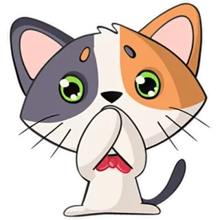 😳 Katze, Kätzchen, süß, flehend, betteln, entschuldigend telegram sticker