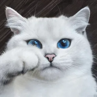 🌝 gato, dedo do meio, ofensivo, rude, fofo, animal, animal de estimação whatsapp sticker
