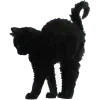 🐈⬛