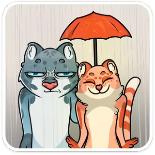 ☔️ cats, umbrella, rain, animals, cute, cartoon telegram sticker