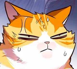 🐈 gato, gato naranja, animal, dibujo animado, expresión, sudando, preocupado, meme telegram sticker