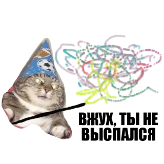 Кот вжух telegram stickers