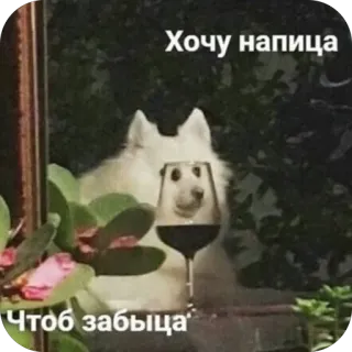 🫥 Хочу напица. Чтоб забыца. telegram sticker