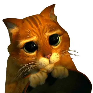 😳 Puss in Boots Katze, traurig, Der gestiefelte Kater, süß, animiert telegram sticker