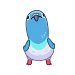 😐 นกพิราบ, นก, การ์ตูน, สัตว์, น่ารัก, สีน้ำเงิน telegram sticker