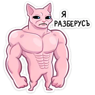 💪 Я РАЗБЕРУСЬ кот, мускулистый, сфинкс, мем, русский, смешной telegram sticker