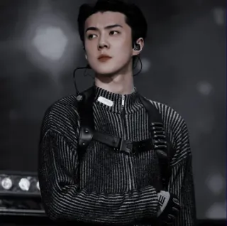 🌑 Sehun singer, kpop, exo, celebrity, music telegram sticker