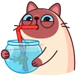🧃 gato, peixe, bebendo, canudo, animal, desenho animado whatsapp sticker
