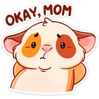 👍 Okay, Mom หนูตะเภา, น่ารัก, สัตว์เลี้ยง, สัตว์, โอเคแม่, การ์ตูน telegram sticker
