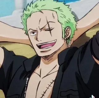 🌽 Zoro One Piece anime, one piece, roronoa zoro, zoro, character, green hair telegram sticker