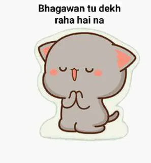 😂 Bhagawan tu dekh raha hai na cute, cat, begging, prayer, hindi, karma, divine whatsapp sticker