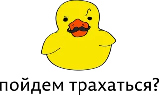 😍 duck, cartoon, animal, mustache, funny, yellow telegram sticker