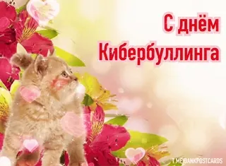 🌟 С днём Кибербуллинга cyberharcèlement, chaton, fleurs, salutation, carte telegram sticker