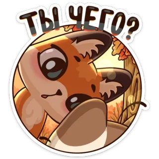 🤨 ТЫ ЧЕГО? fox, animal, cartoon, cute, nature, autumn whatsapp sticker