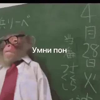 💆‍♂️ Умни пон scimmia, occhiali, cravatta, scuola, lavagna telegram sticker