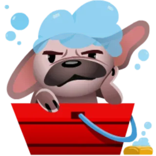 🛀 cão, banho, bolhas, animal de estimação, sabão, limpeza telegram sticker