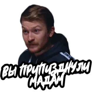 🤥 ВЫ ПРИПИЗДНУЛИ МАДАМ telegram sticker