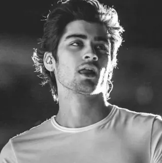 👑 Zayn Malik Sänger, Promi, Person, Porträt, Schwarzweiß telegram sticker