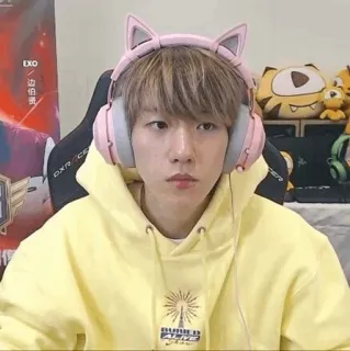 🥡 边伯贤 pessoa, kpop, ídolo, celebridade, asiático telegram sticker