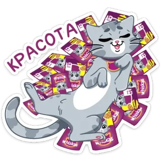 😍 КРАСОТА chat, whiskas, nourriture, chaton, beauté, mignon, russe telegram sticker
