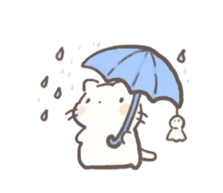 ☂️ kat, paraplu, regen, schattig, dier, weer telegram sticker
