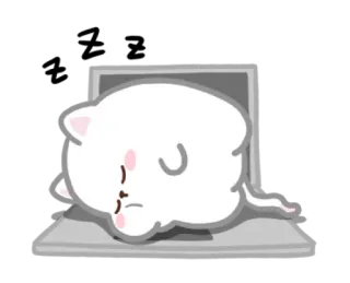 😴 Katze, Laptop, müde, süß, Tier, Cartoon telegram sticker