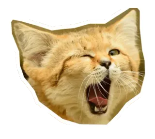 🐱 gato, animal, lindo, felino, gato de arena, bostezando, guiñando telegram sticker