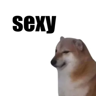 🐶 sexy 도지, 개, 밈, 섹시, 시바견 telegram sticker