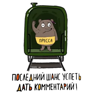 😓 ПРЕССА urso, imprensa, jornalista, animal, desenho animado whatsapp sticker