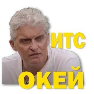 🙂 ИТС ОКЕЙ telegram sticker