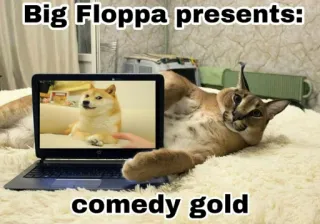 🐱 Big Floppa Big Floppa presents: comedy gold Meme, Katze, Floppa, Doge, Comedy, Lustig telegram sticker