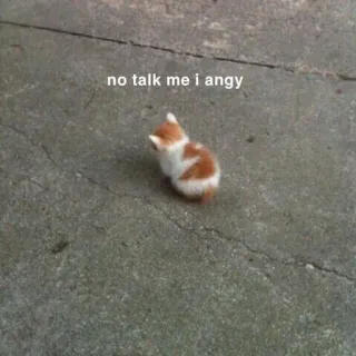 😡 no talk me i angy cat, kitten, angry, funny, meme, cute telegram sticker