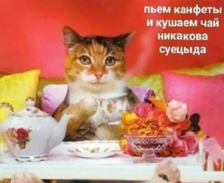☕️ пьем конфеты
и кушаем чай
никакова
суецыда cat, tea, candy, humor telegram sticker