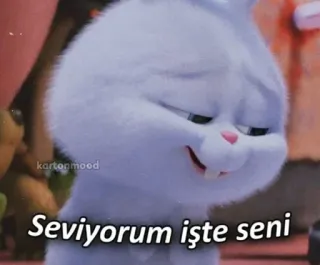🌟 Seviyorum işte seni coelho, fofo, amor, animal telegram sticker