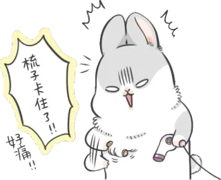 😵 橘子卡住了!!! bunny, middle finger, sticker, cartoon, angry, exclamation, chinese text telegram sticker