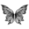 🦋