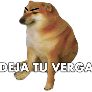 🐶 DEJA TU VERGA มีม, หมา, ชีมส์, หยาบคาย, สเปน whatsapp sticker