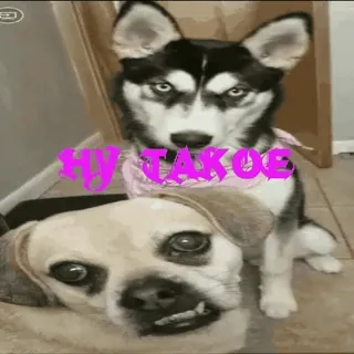 Больше стиков тут: @stikery4 telegram stickers