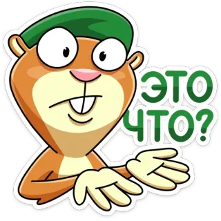 ❓ ЭТО ЧТО? cartone animato, scoiattolo, domanda, espressione, confuso, russo telegram sticker