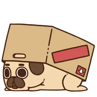 😐 ปั๊ก, หมา, สัตว์, กล่อง, น่ารัก, สัตว์เลี้ยง, การ์ตูน whatsapp sticker