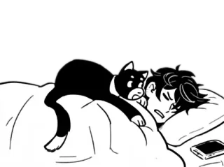💤 anime, gato, durmiendo, cama, manga, lindo, kawaii telegram sticker